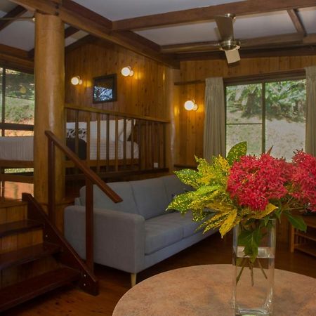 Milkwood Lodge Cooktown Eksteriør bilde