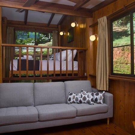 Milkwood Lodge Cooktown Eksteriør bilde