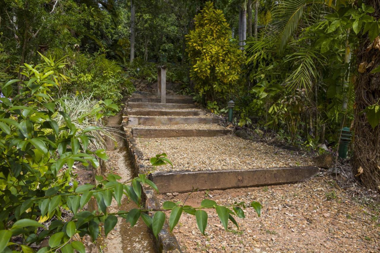 Milkwood Lodge Cooktown Eksteriør bilde